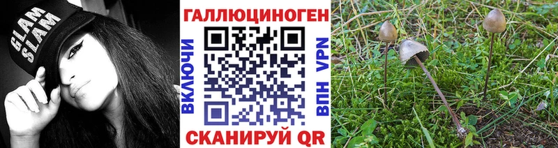 Галлюциногенные грибы ЛСД  Урус-Мартан 