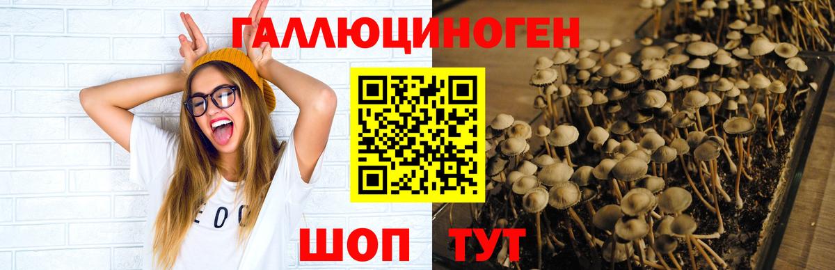 Урус-Мартан  Галлюциногенные грибы Magic Shrooms  Вход с VPN  Галлюциногенные грибы ЛСД 
