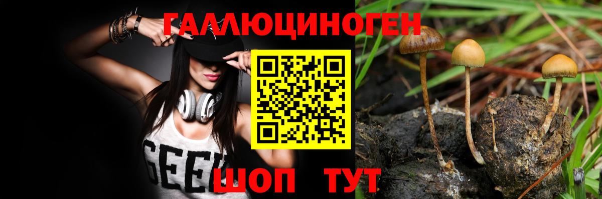 Псилоцибиновые грибы MAGIC MUSHROOMS Урус-Мартан